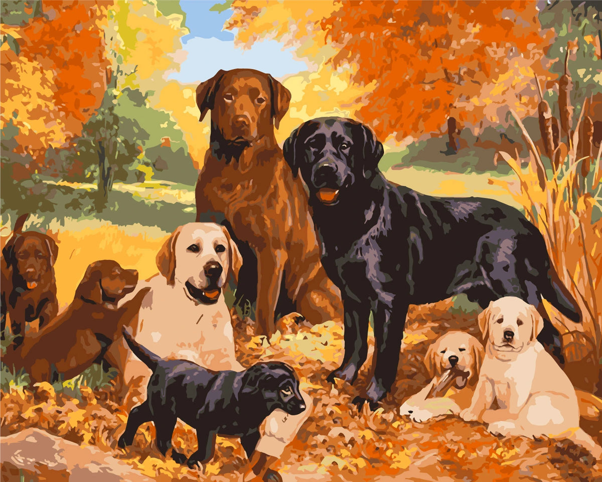 Labrador dogs and puppies in an autumn forest setting