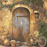Rustic wooden door with vintage bicycle and potted flowers