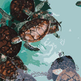 Sea turtles swimming in clear turquoise water with detailed shells