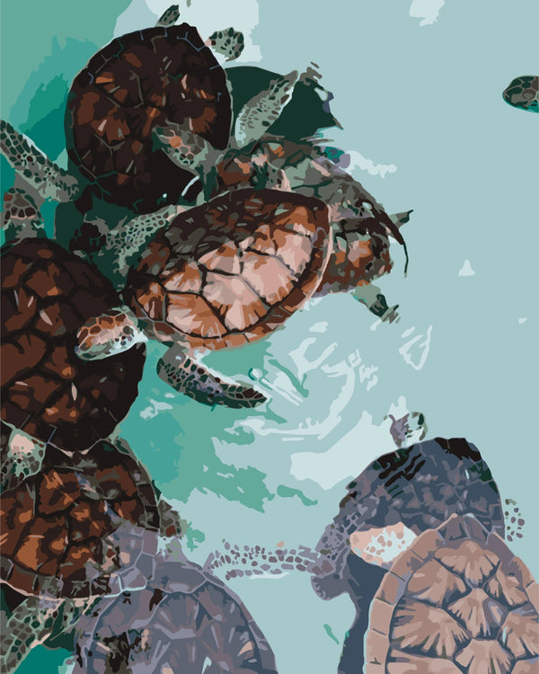 Sea turtles swimming in clear turquoise water with detailed shells