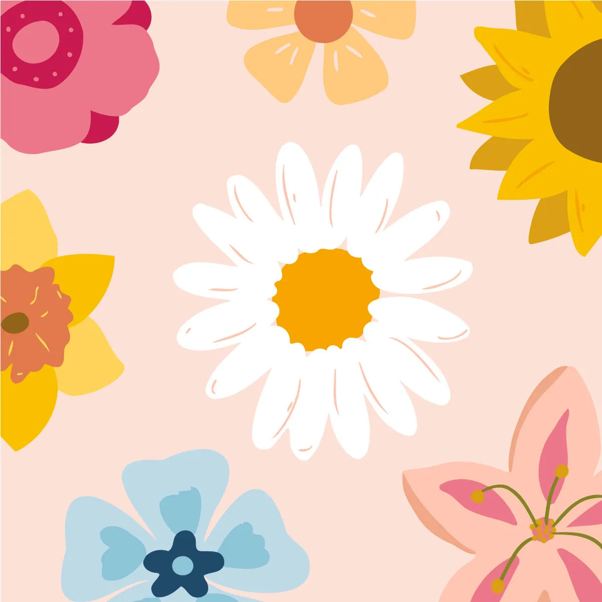 Minimalist floral painting featuring daisies sunflowers and colorful blossoms