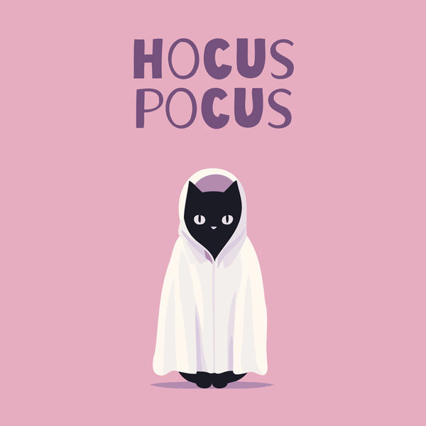 Black cat in ghost costume with "Hocus Pocus" text on pink background