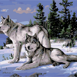 Two wolves in a snowy forest with a lake background