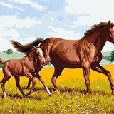 Mother horse and foal running through a sunny meadow