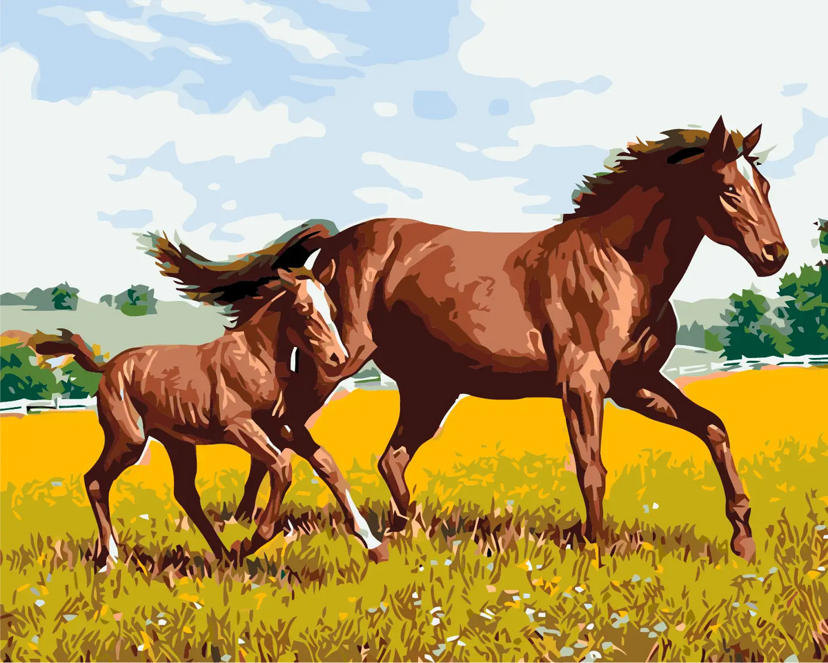 Mother horse and foal running through a sunny meadow