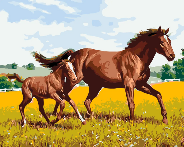 Mother horse and foal running through a sunny meadow