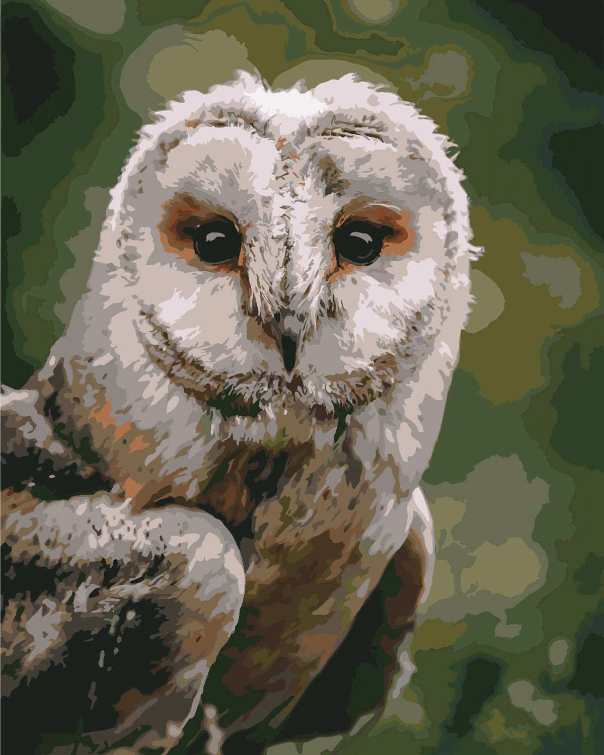 Painting of a realistic barn owl with detailed feathers and eyes