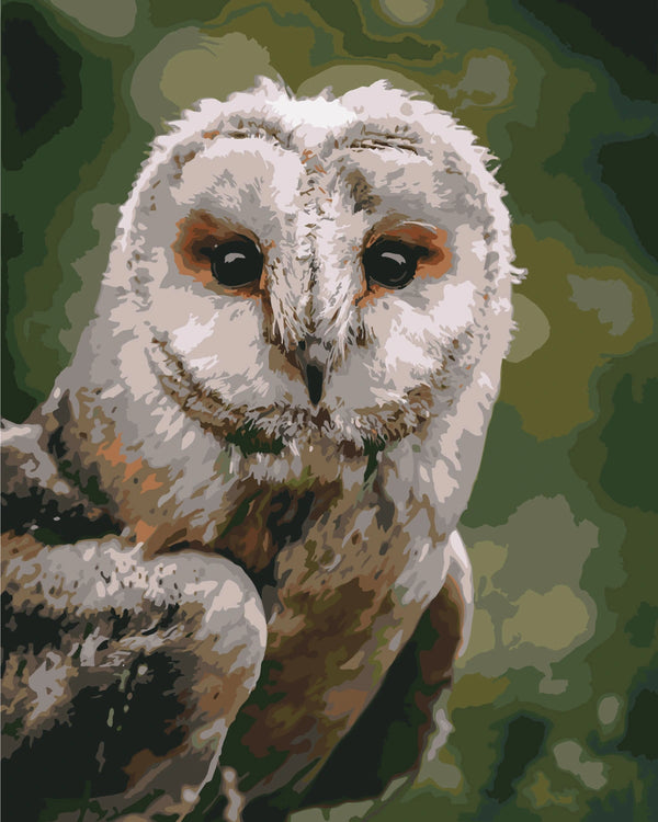 Painting of a realistic barn owl with detailed feathers and eyes