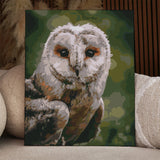 Painting of a realistic barn owl with detailed feathers and eyes
