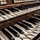 Painting of vintage organ keys and stops in warm tones