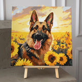 German Shepherd dog in a sunflower field with golden sunset