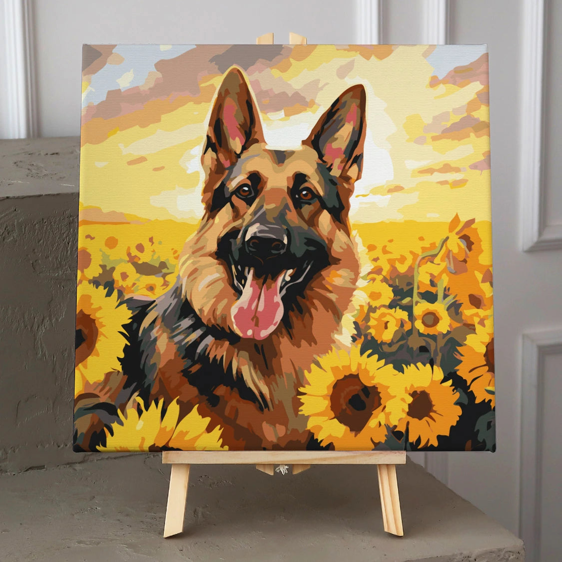 German Shepherd dog in a sunflower field with golden sunset