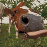 Stylized painting of a cow sticking its tongue out close-up