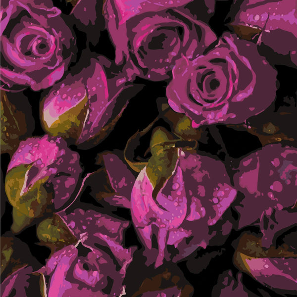Stylized painting of vibrant purple roses with dark background