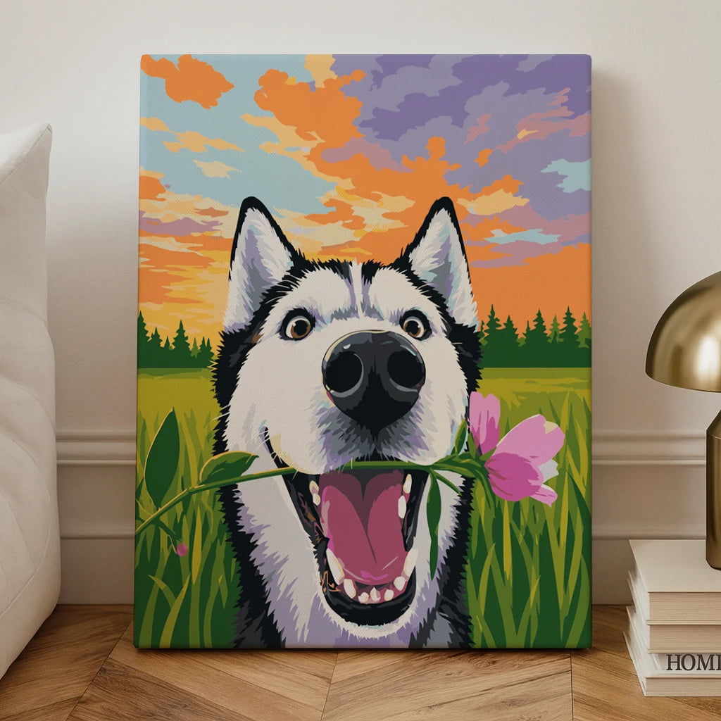 Husky Sunset
