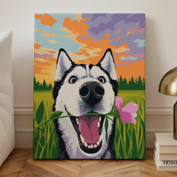 Husky Sunset