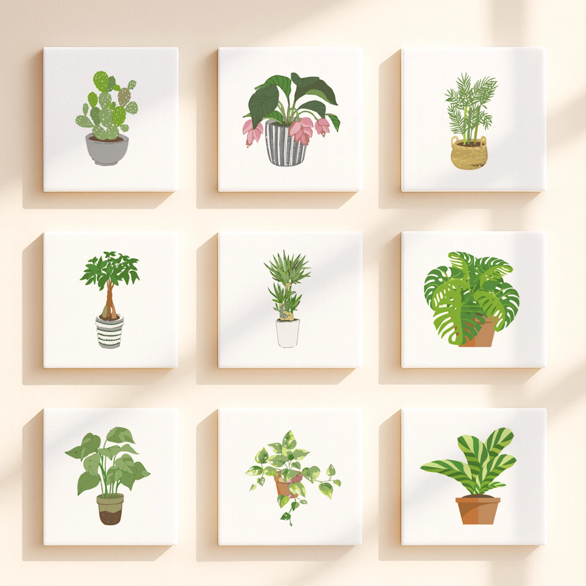 house plant print Plant Parenthood Paint by Numbers Kit