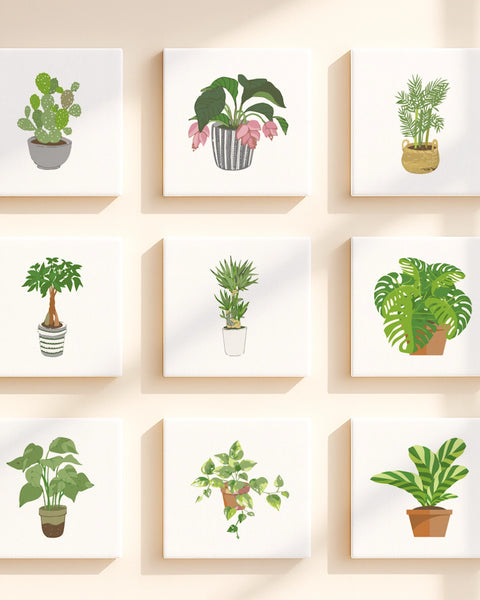 Plant Parenthood (Set of 9)