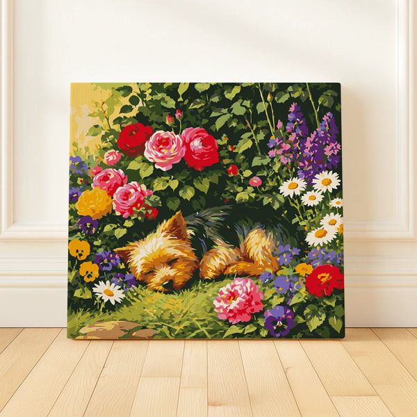 Yorkie Dreams