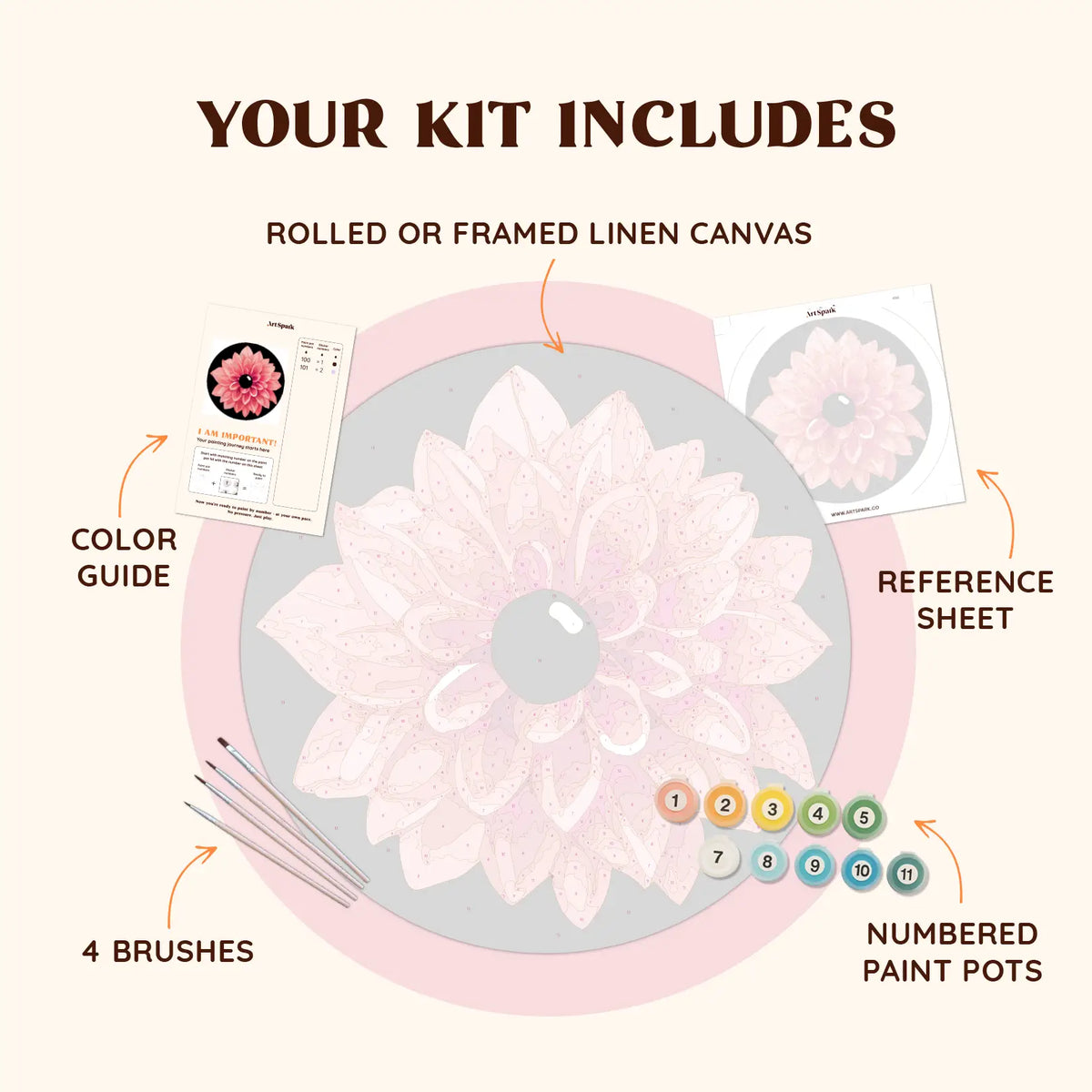 Bloom Focus