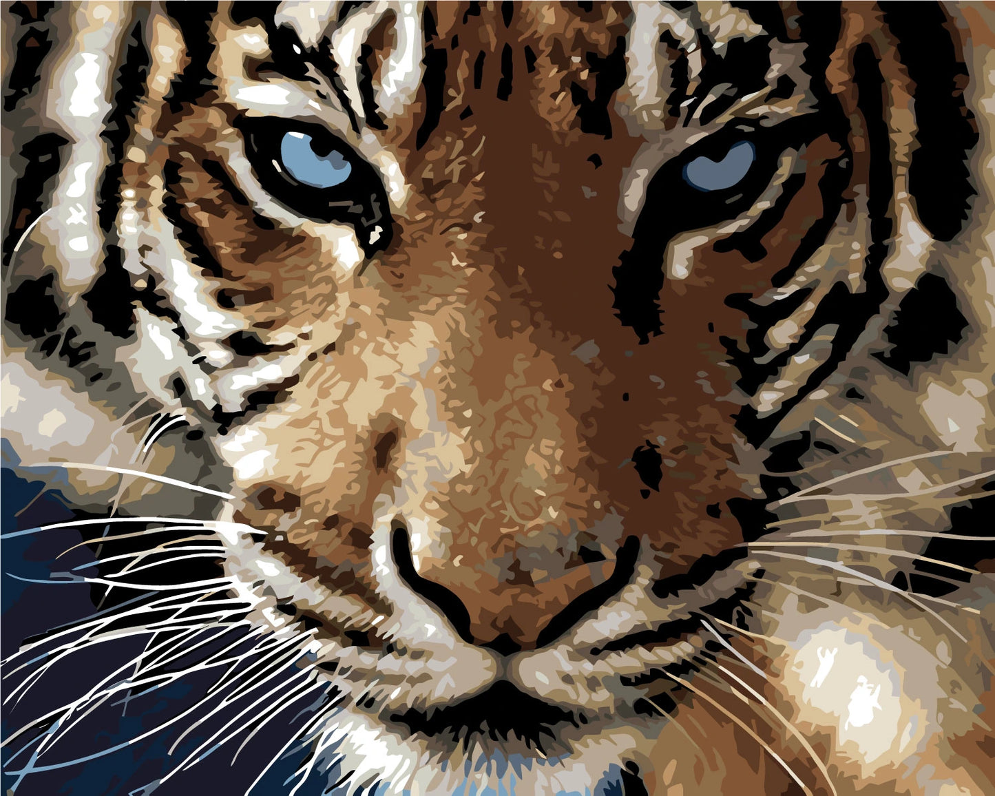 portrait of a close-up bold tiger face with blue eyes