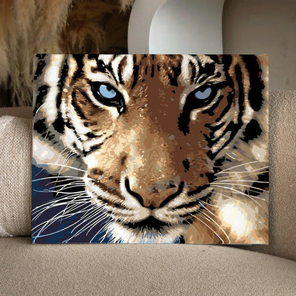 portrait of a close-up bold tiger face with blue eyes