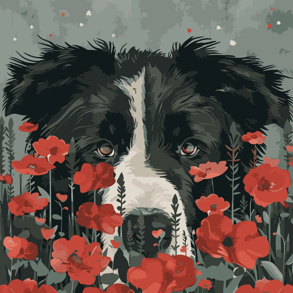 Border collie dog surrounded by vibrant red poppies in nature