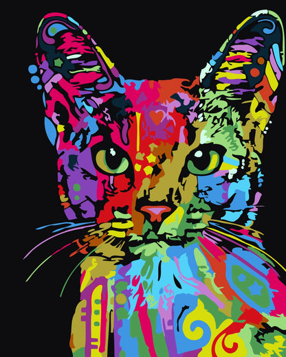 Colorful Cat