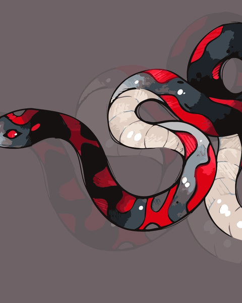 Banded red, black, and white stylized snake coiled on a dark taupe background. Coral snake-inspired paint by numbers kit design by Kalinina.