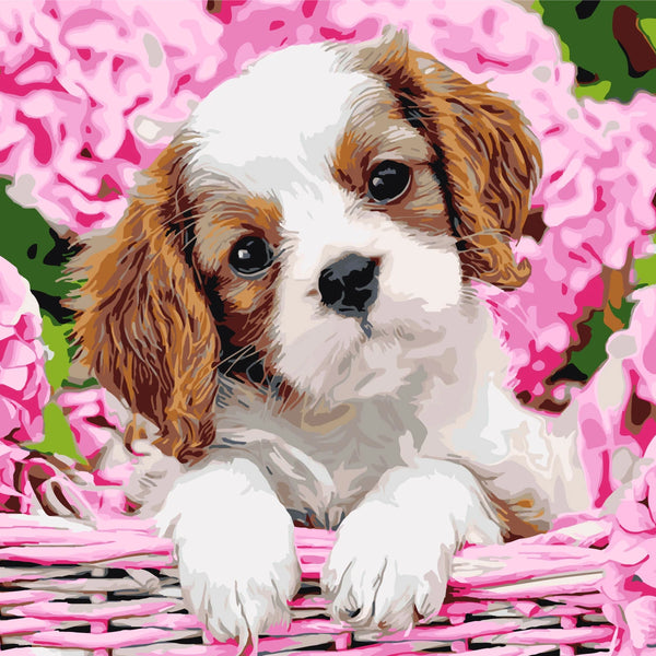 Adorable puppy in basket surrounded by pink hydrangea flowers