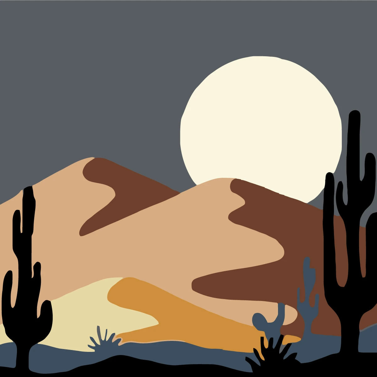 Desert Night