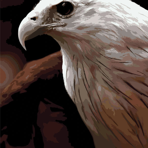 Close-up painting of a majestic white-headed eagle on dark background