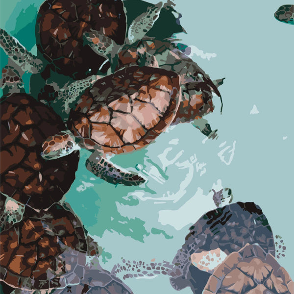 Sea turtles swimming in clear turquoise water with detailed shells