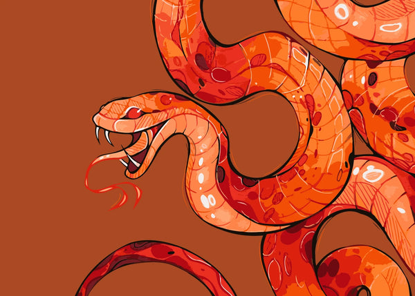 Illustration of a coiled, aggressive red-orange snake with fangs bared, on a deep terracotta background. Designed by Kalinina for the Fire Snake paint by numbers kit.