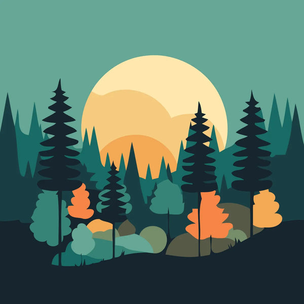 Minimalist forest landscape with sunset and evergreen trees in nature