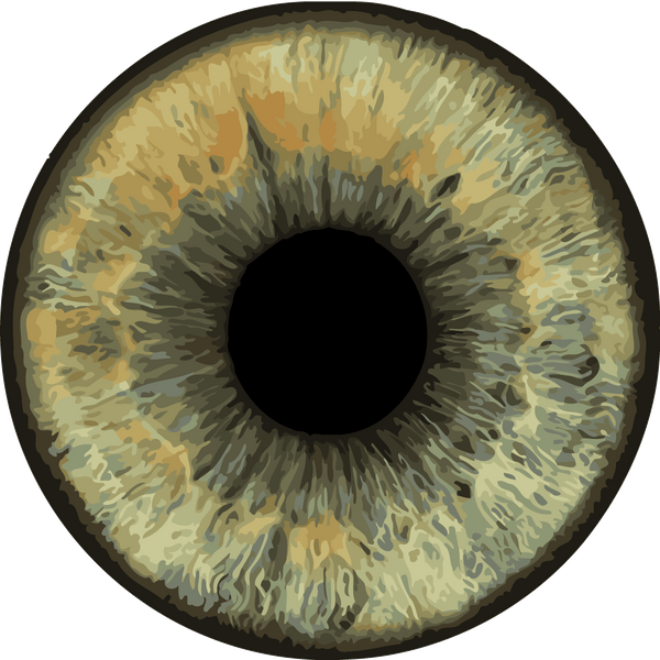 Realistic painting of a human eye iris in detail
