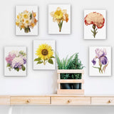 Six vibrant floral paintings from the Garden Whispers Paint by Numbers Kit displayed on a white wall above a wooden console with green plants. A beautiful decor arrangement showcasing botanical art. Artspark Paint by Numbers Kit.