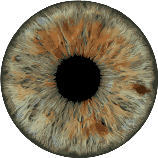 Hyper-realistic digital painting of a detailed brown human iris