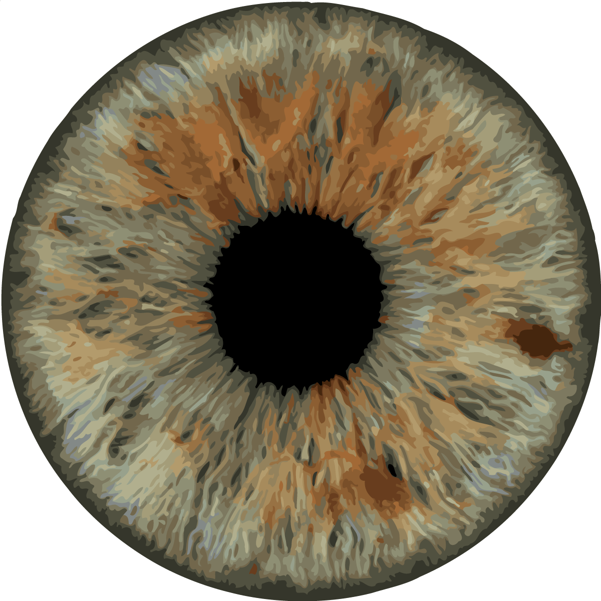 Hazel Gaze - Paint by Numbers Kit – ArtSpark