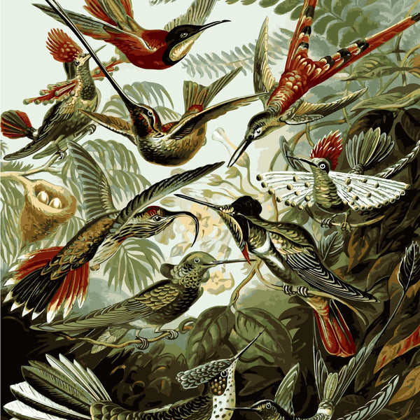 Vintage-style painting of exotic hummingbirds in a lush jungle setting