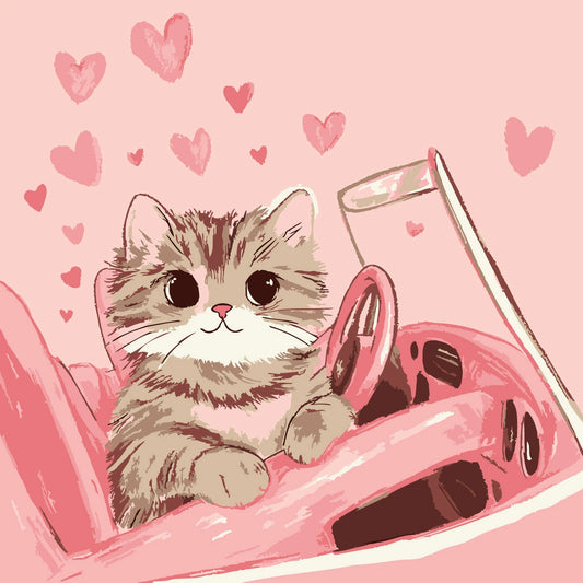 Kitty Ride