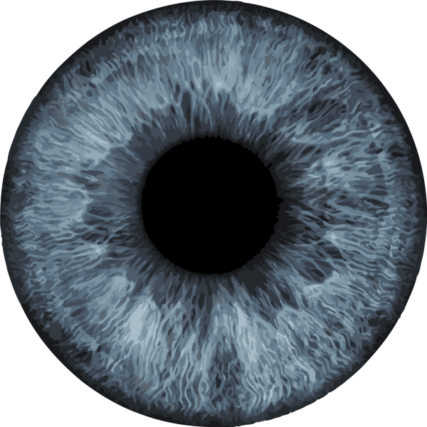 Close-up painting of a detailed blue human eye iris