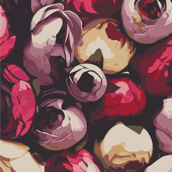 Vibrant close-up of blooming peonies in red, pink, and white