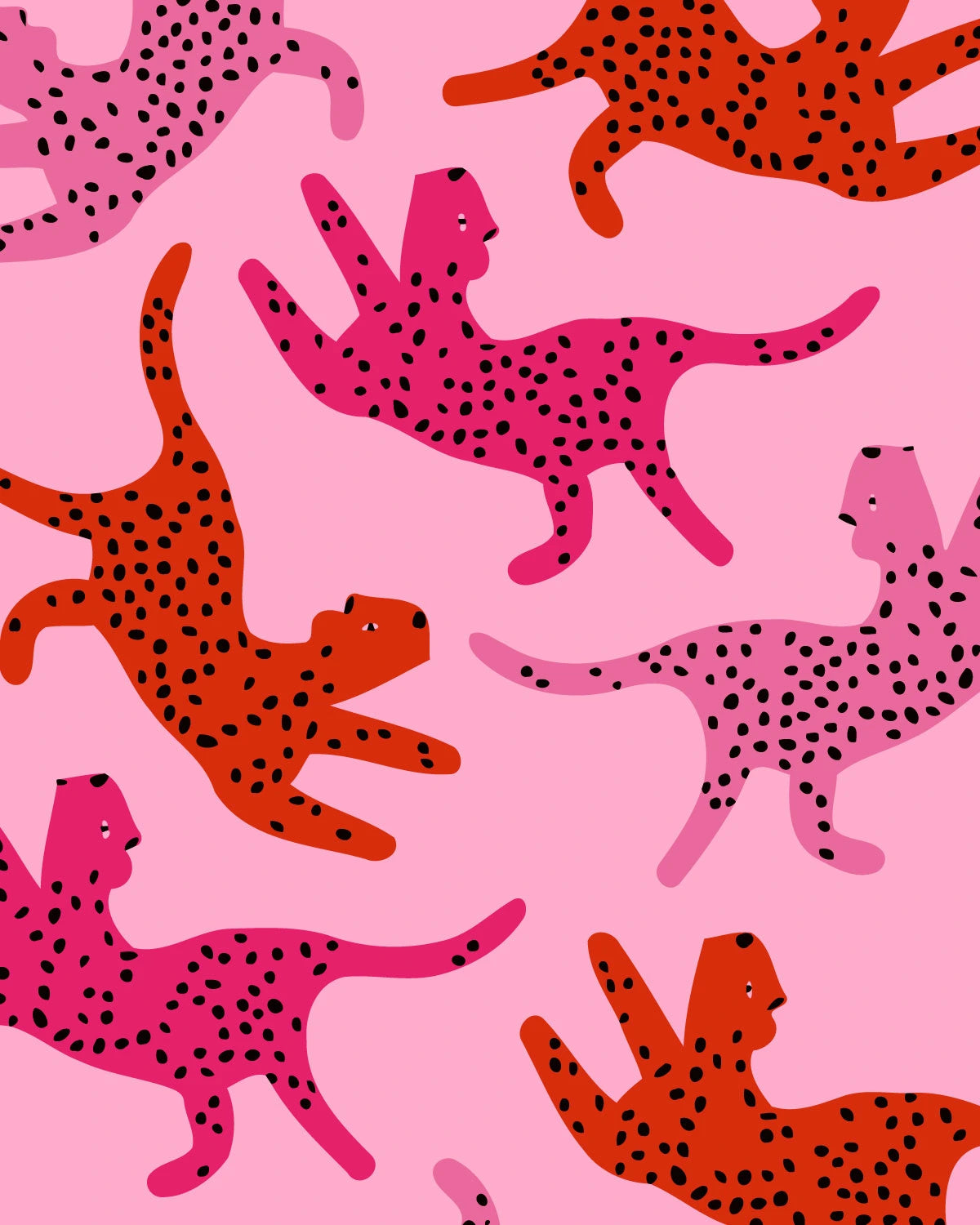 Pink Cats