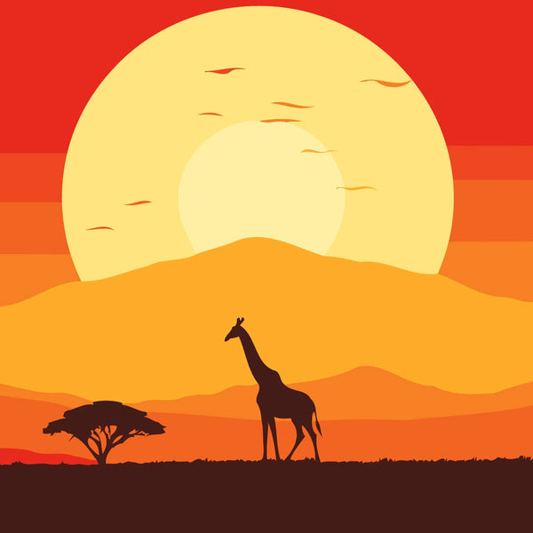 Silhouette of a giraffe in an African sunset savanna scene